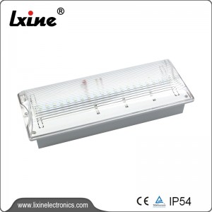Led emergency light  non-maintained LX-802L