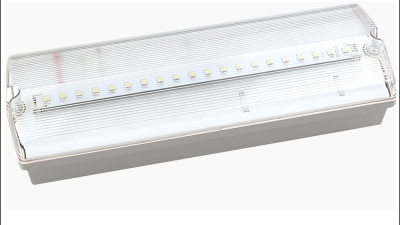 How to Choose the Best Emergency Batteries for Your Business Needs