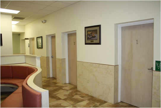 UL Dual Head Emergency Light LX-681 WB (5)